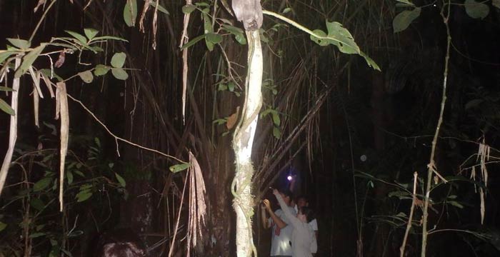 Madidi Jungle Ecolodge Activities