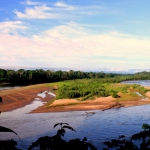 Amazon River Landscape / Paisaje Amazonico